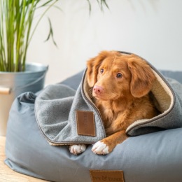 Do you have a four-legged BFF at Avenida Carrollton? 🐾
Tire your pup at our on-site paw park.
#AvenidaCarrollton #Carrollton #CarrolltonTX #DFW #DallasTexas #ActiveAdultLiving #ActiveAdultTX #ActiveAdultTXLiving #CarrolltonActiveAdult #PetFriendlyApartments Do you have a four-legged BFF at Avenida Carrollton? 🐾
Tire your pup at our on-site paw park.
#AvenidaCarrollton #Carrollton #CarrolltonTX #DFW #DallasTexas #ActiveAdultLiving #ActiveAdultTX #ActiveAdultTXLiving #CarrolltonActiveAdult #PetFriendlyApartments